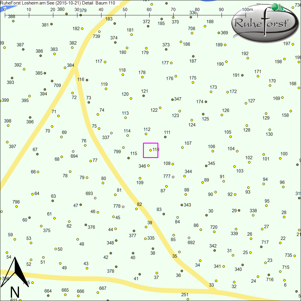 Detailkarte zu Baum 110