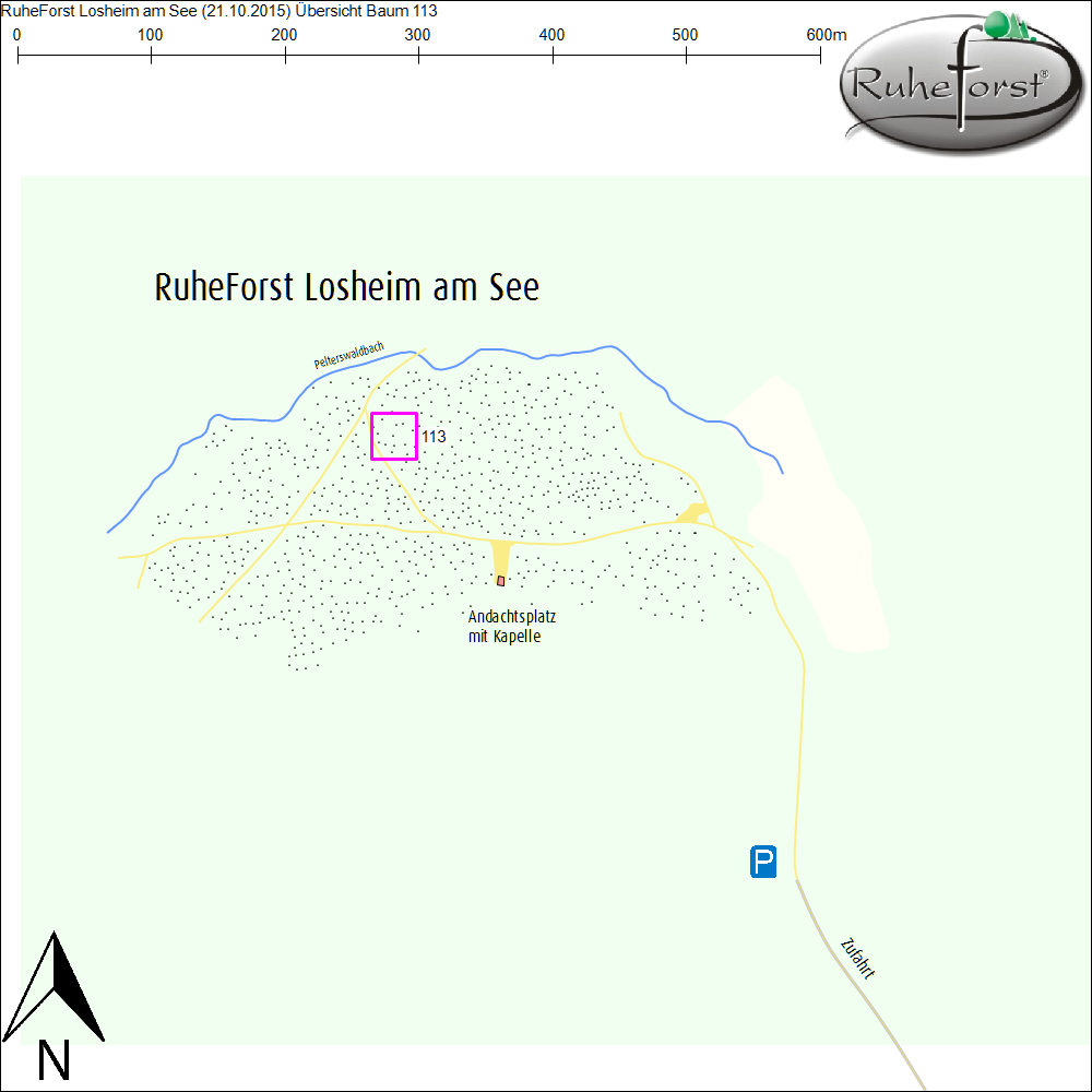 Übersichtskarte zu Baum 113