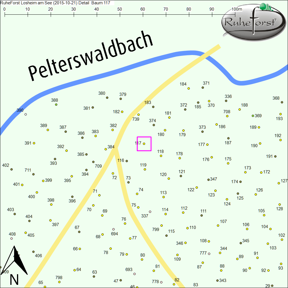 Detailkarte zu Baum 117