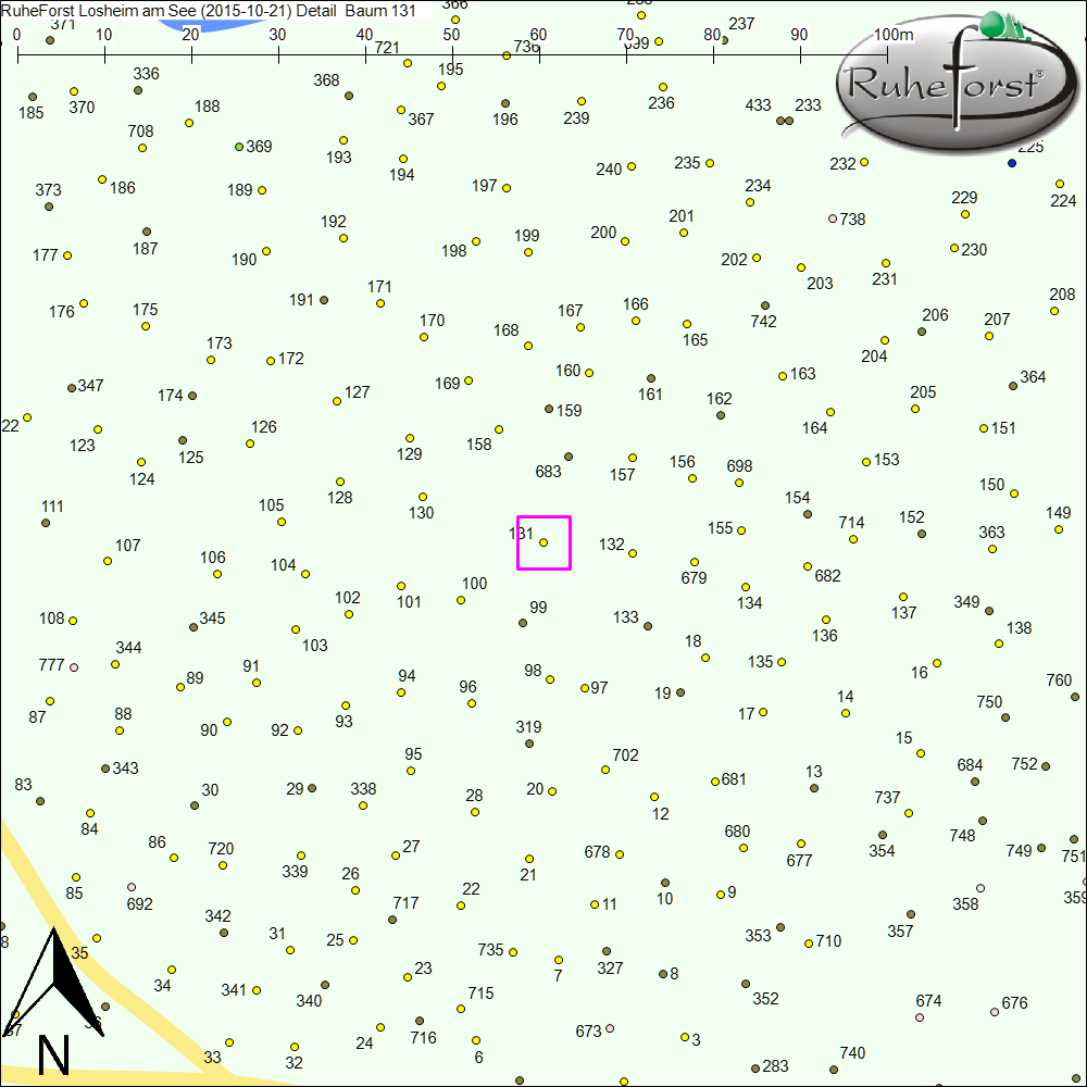 Detailkarte zu Baum 131