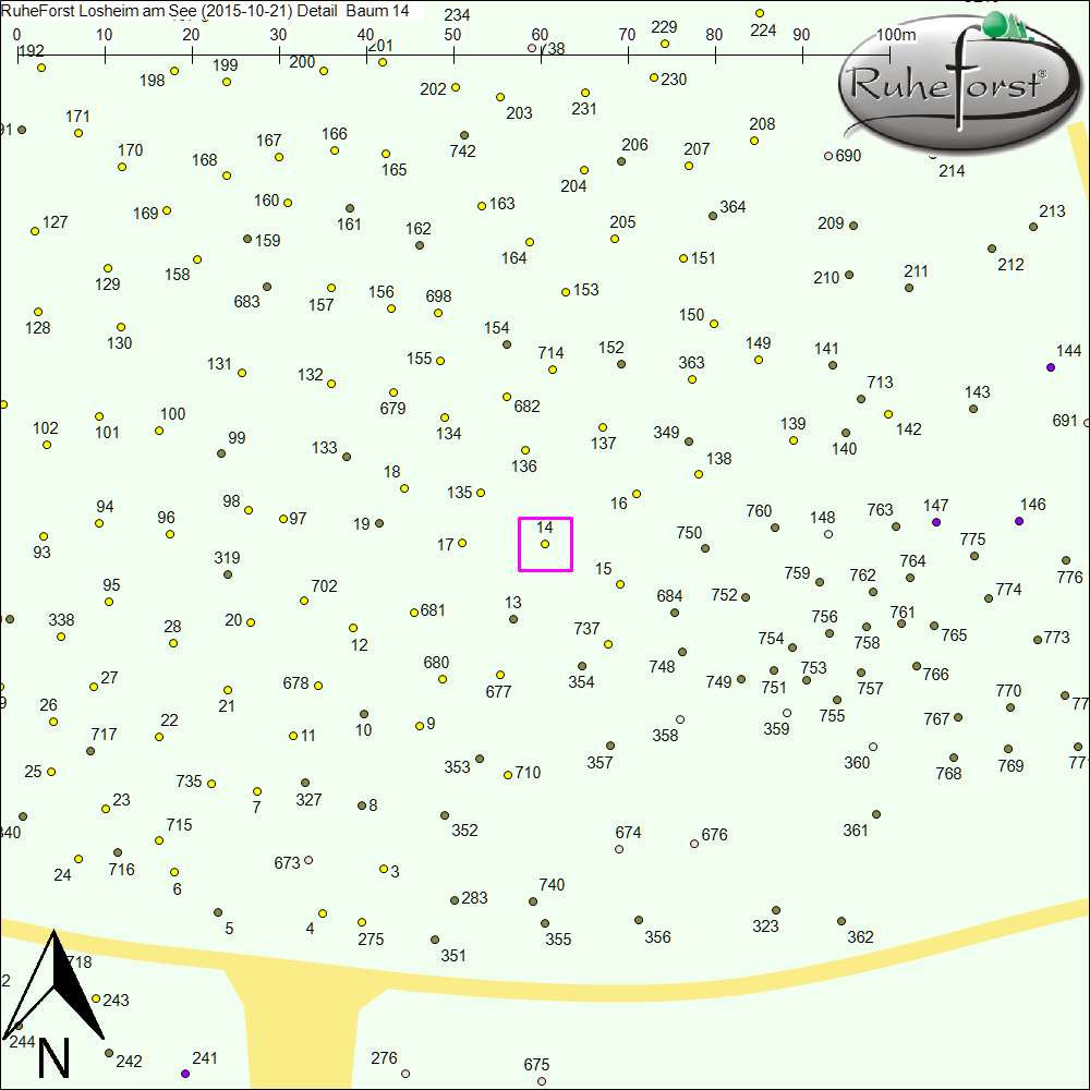 Detailkarte zu Baum 14