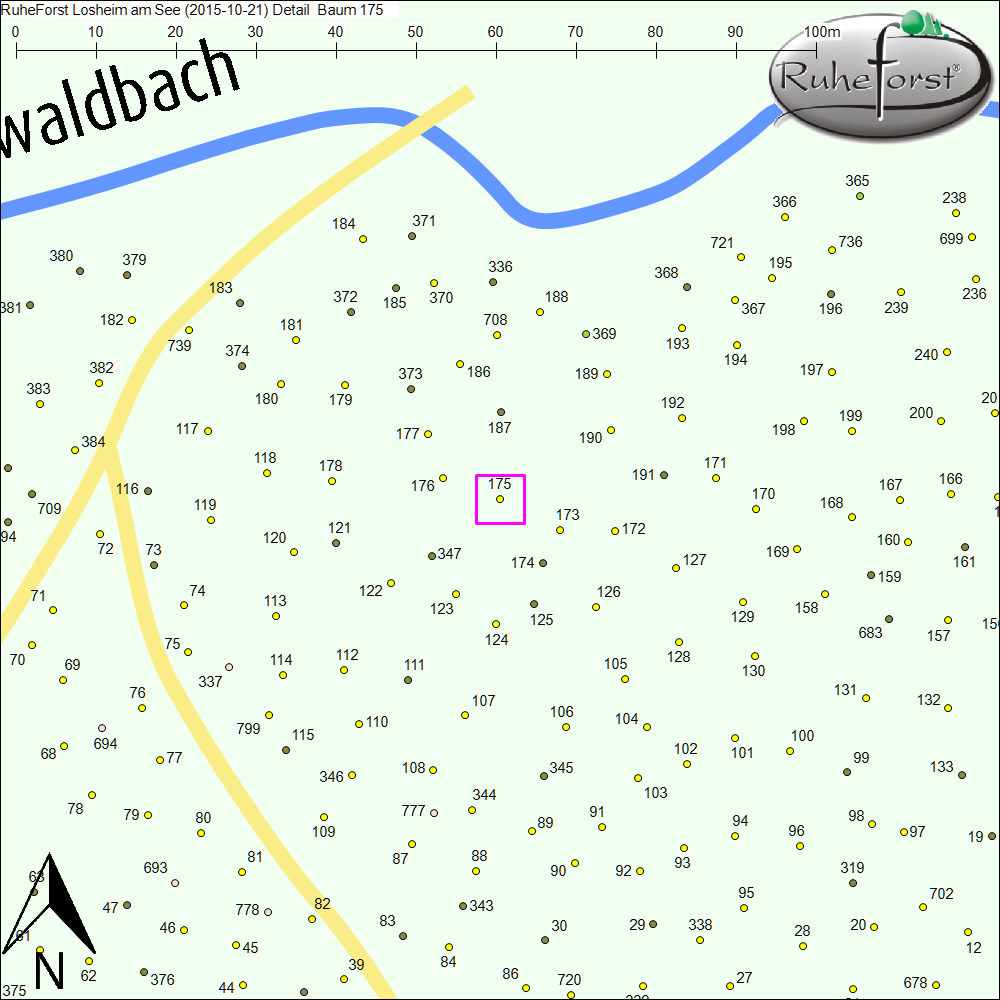 Detailkarte zu Baum 175