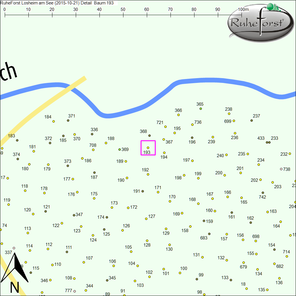 Detailkarte zu Baum 193