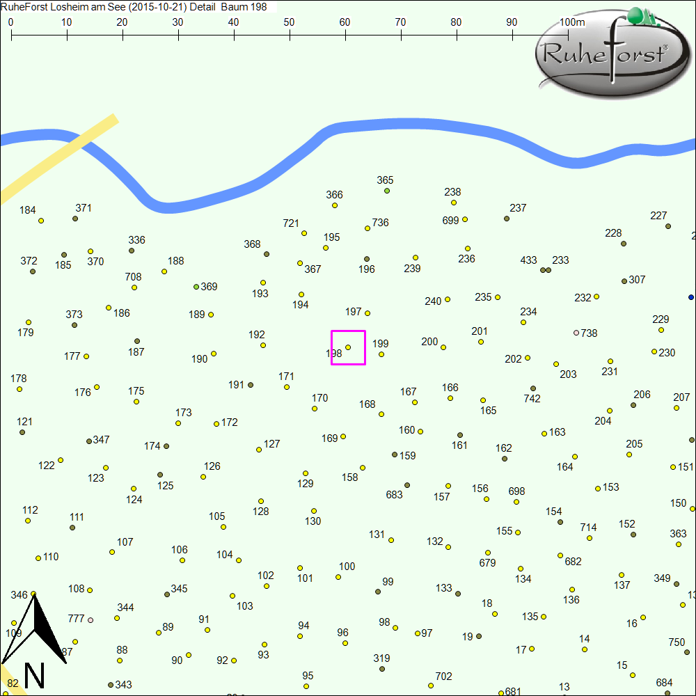 Detailkarte zu Baum 198
