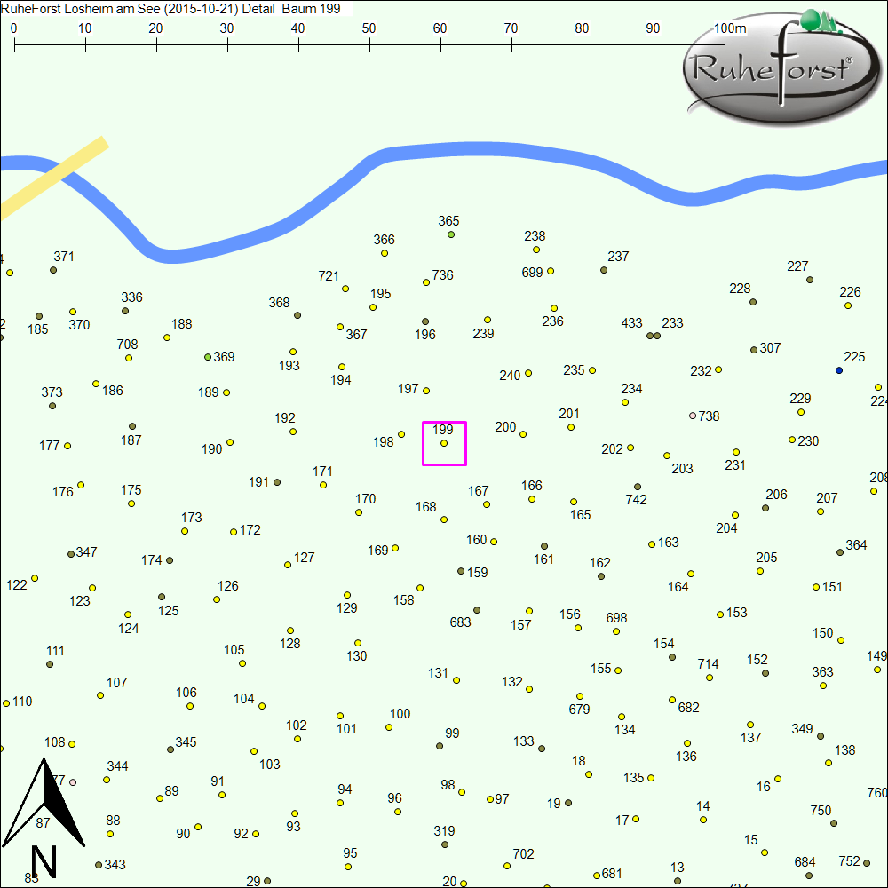 Detailkarte zu Baum 199