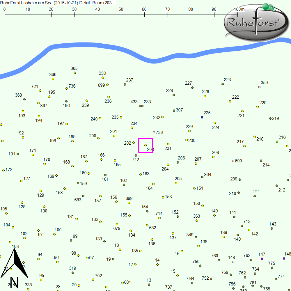 Detailkarte zu Baum 203