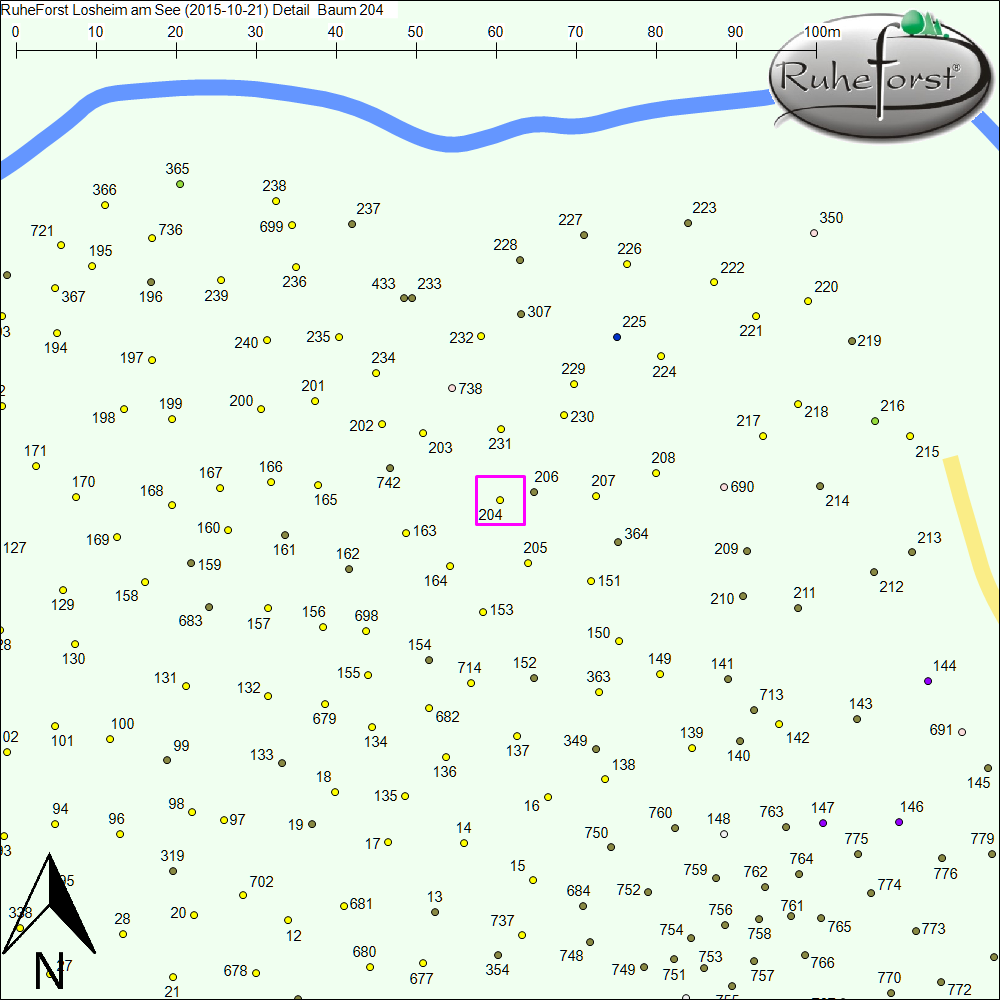 Detailkarte zu Baum 204