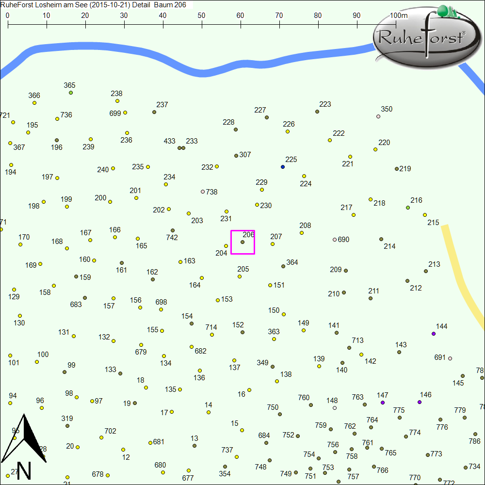 Detailkarte zu Baum 206