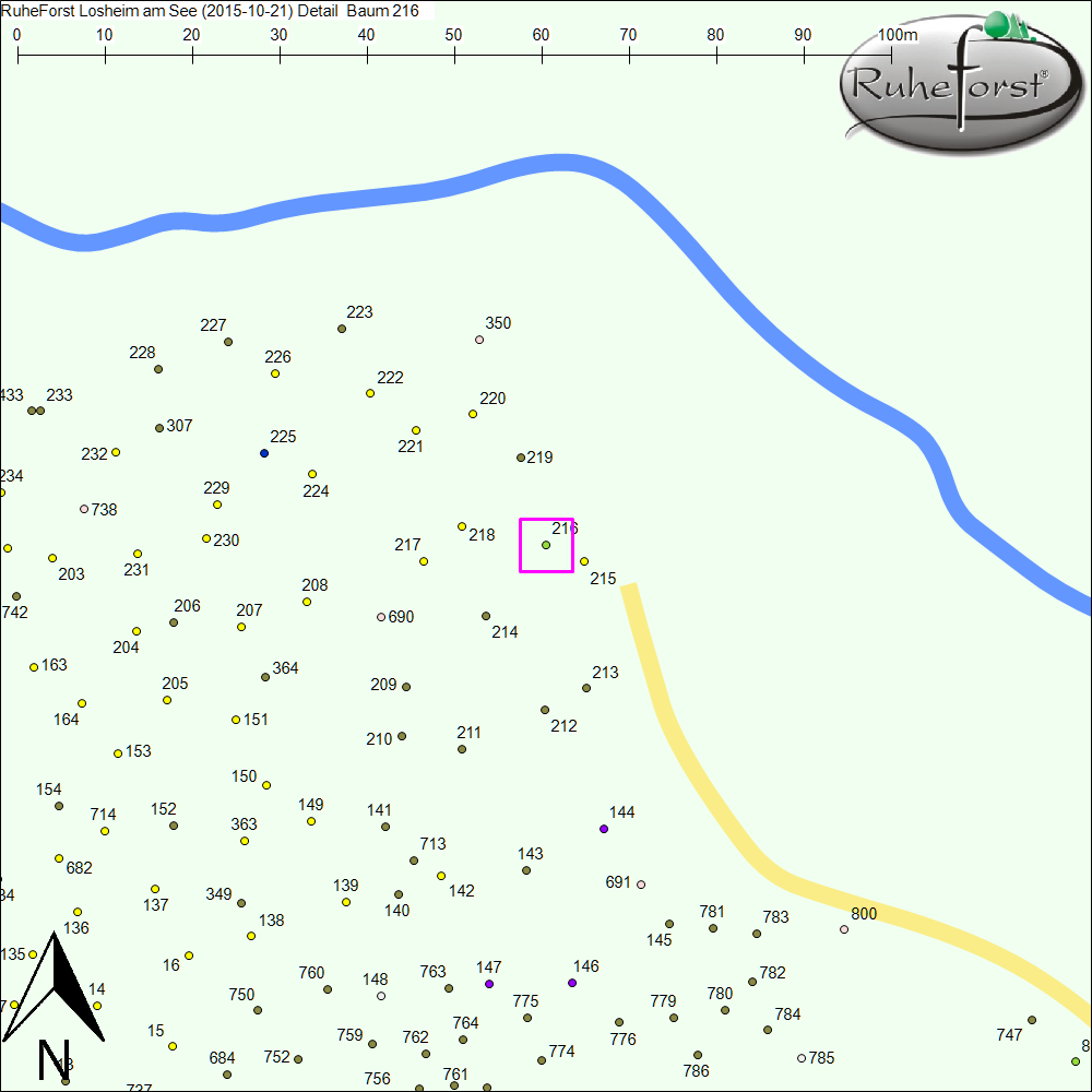 Detailkarte zu Baum 216