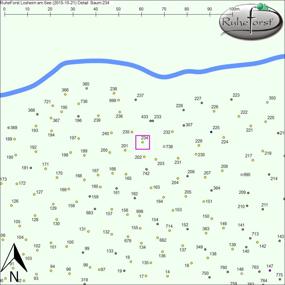 Detailkarte zu Baum 234