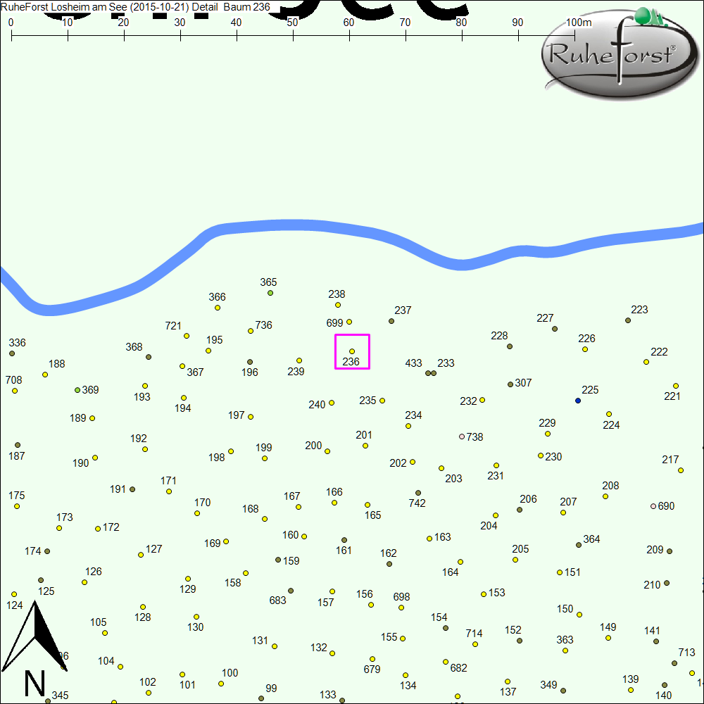 Detailkarte zu Baum 236