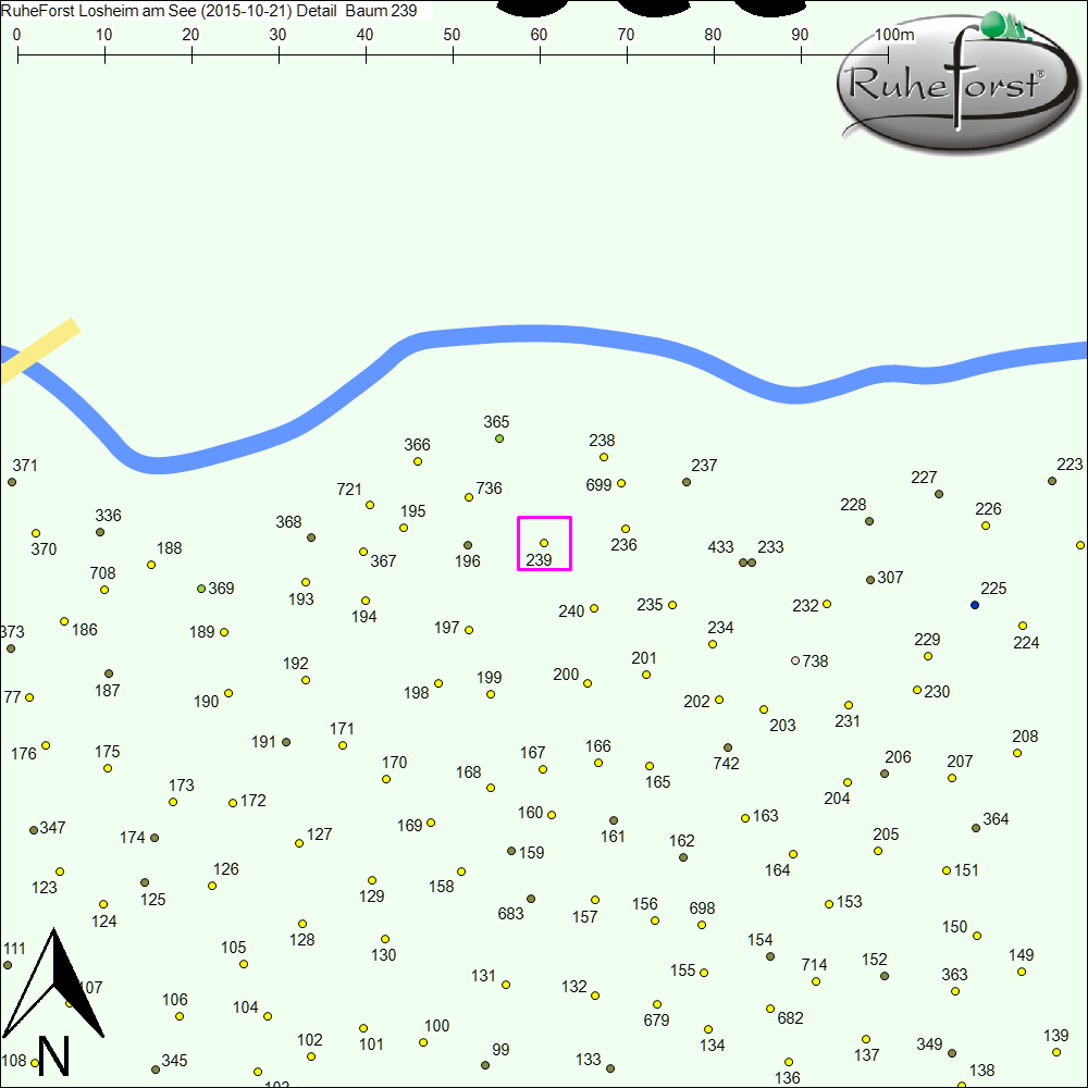 Detailkarte zu Baum 239