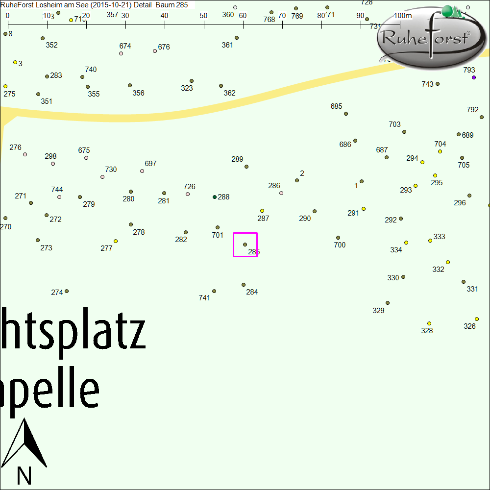 Detailkarte zu Baum 285