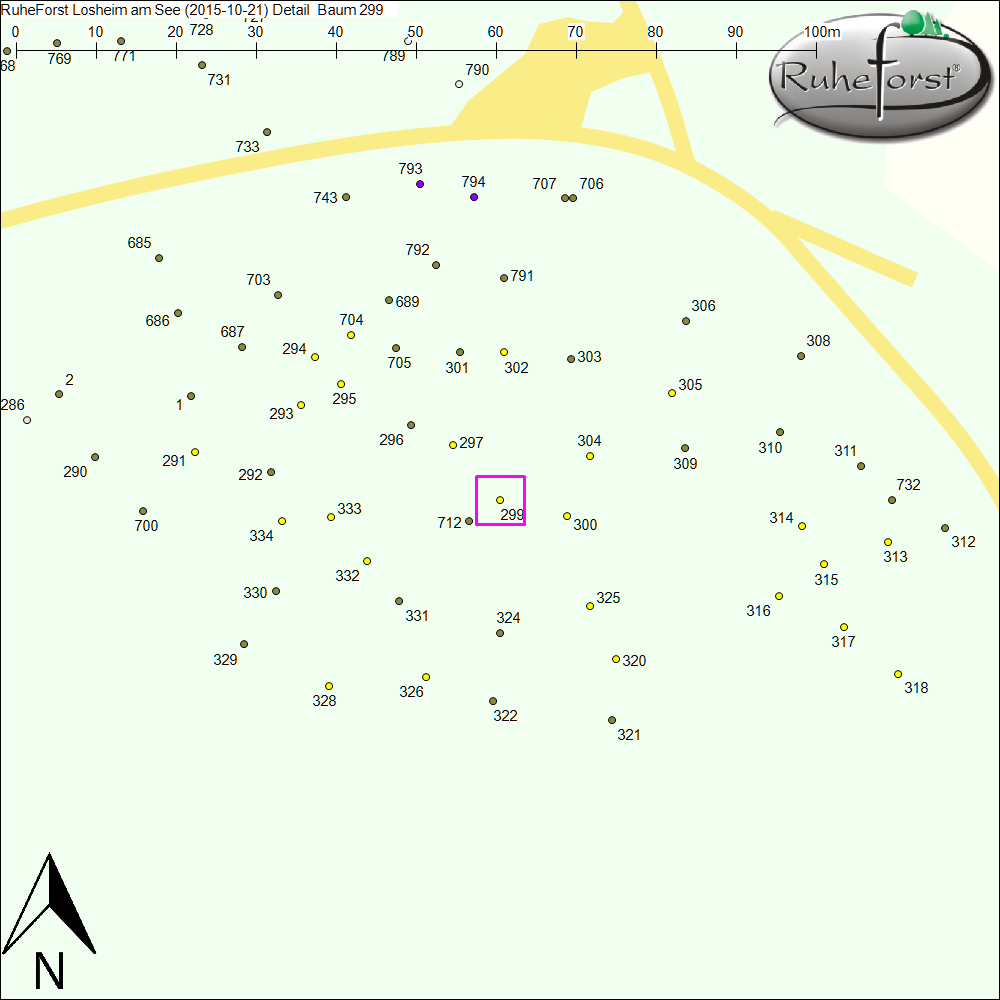 Detailkarte zu Baum 299