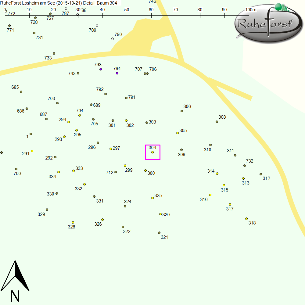 Detailkarte zu Baum 304