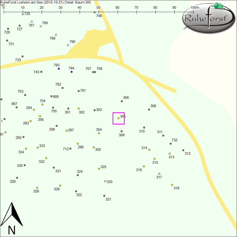 Detailkarte zu Baum 305