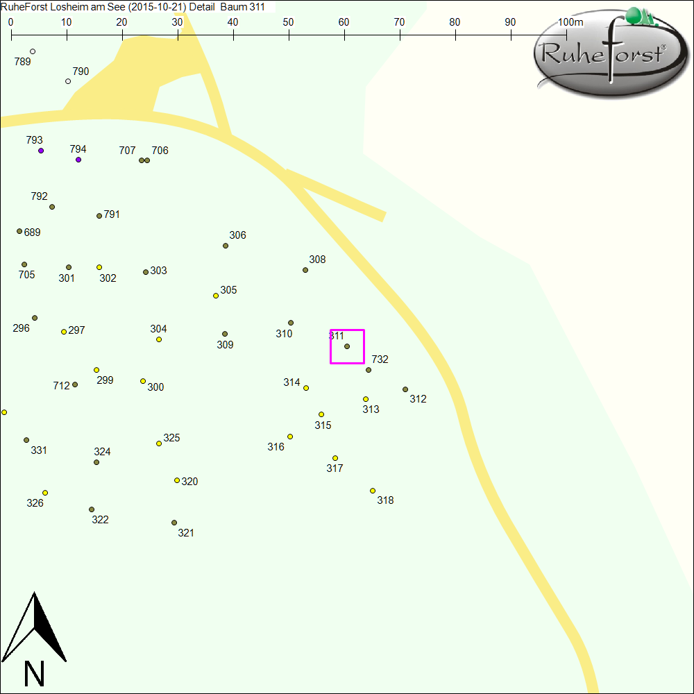 Detailkarte zu Baum 311