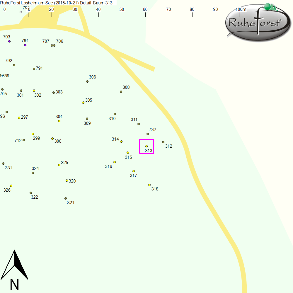 Detailkarte zu Baum 313