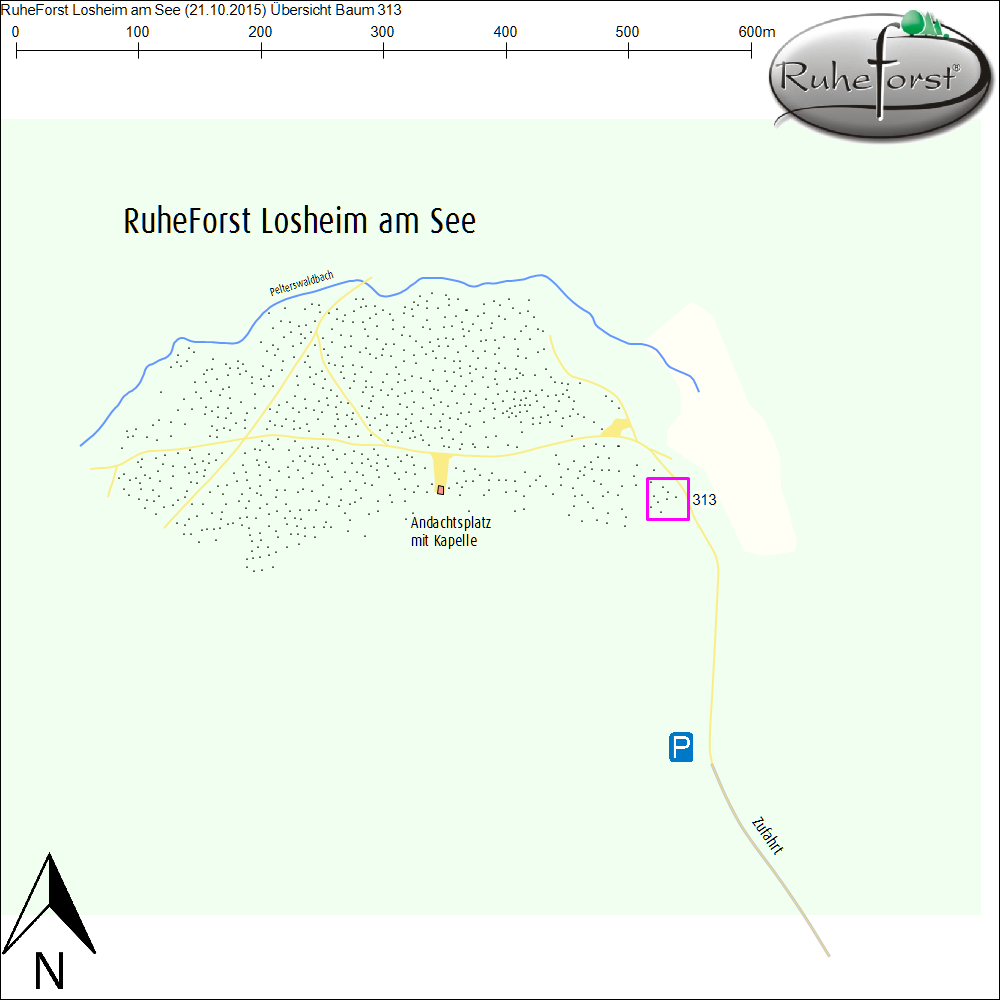 Übersichtskarte zu Baum 313