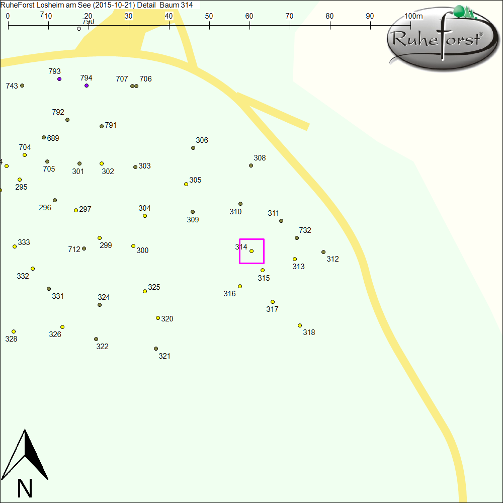 Detailkarte zu Baum 314