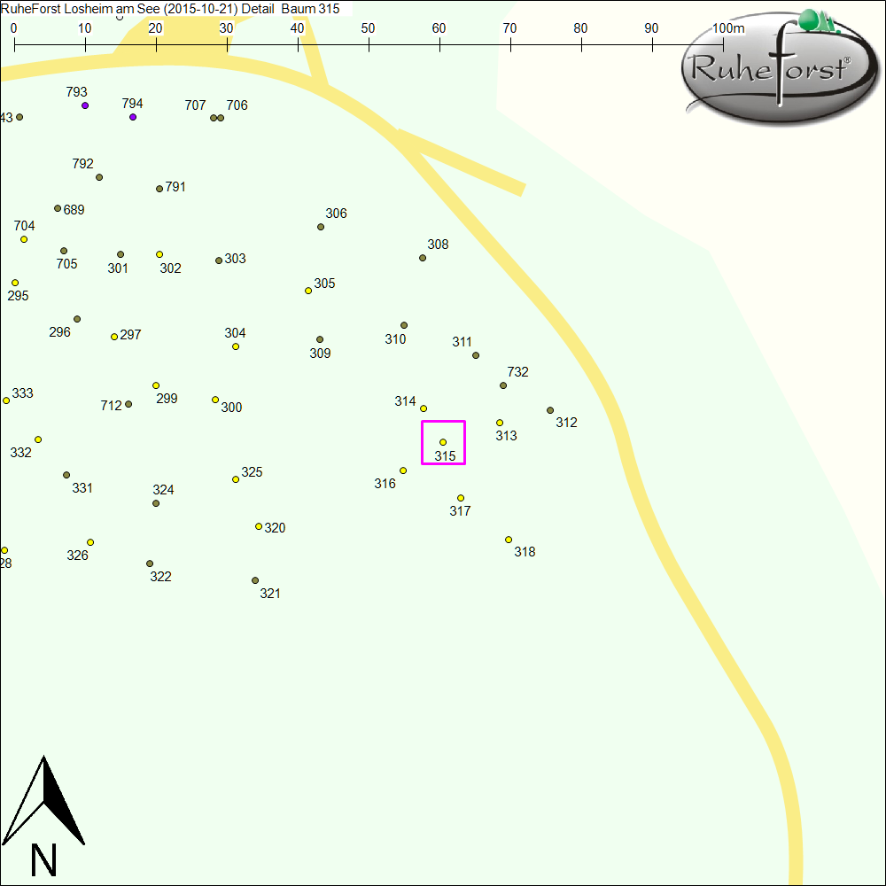 Detailkarte zu Baum 315