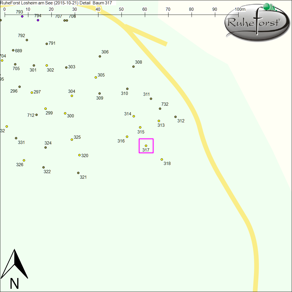 Detailkarte zu Baum 317