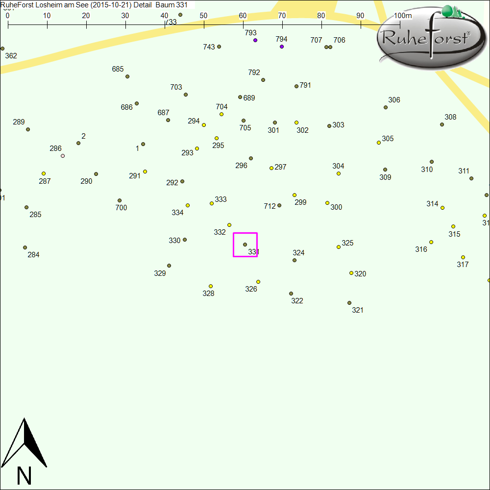 Detailkarte zu Baum 331