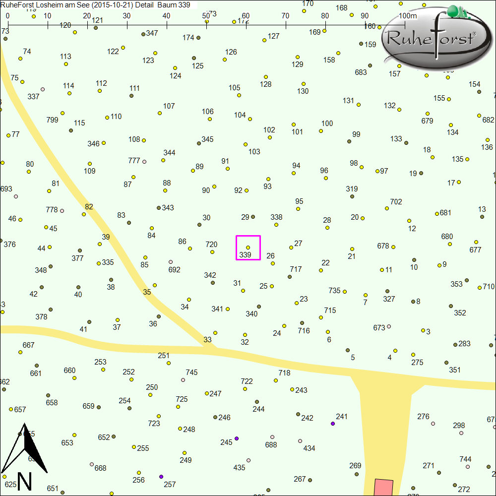 Detailkarte zu Baum 339