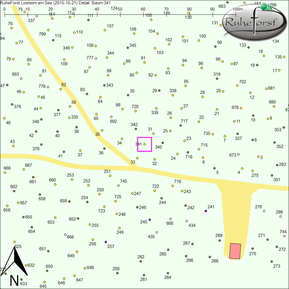 Detailkarte zu Baum 341