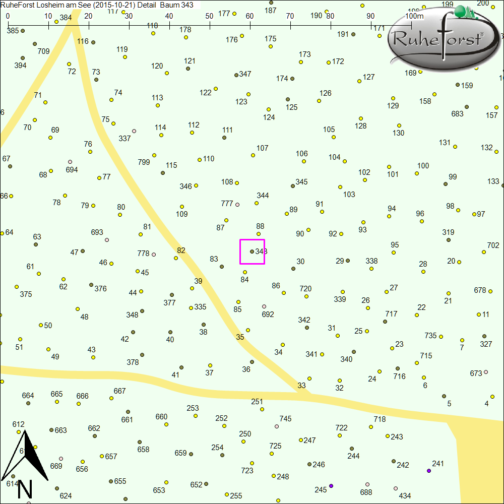 Detailkarte zu Baum 343