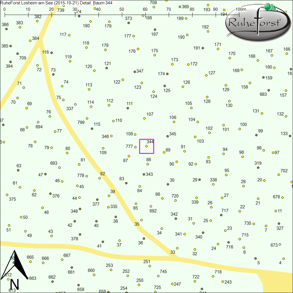 Detailkarte zu Baum 344