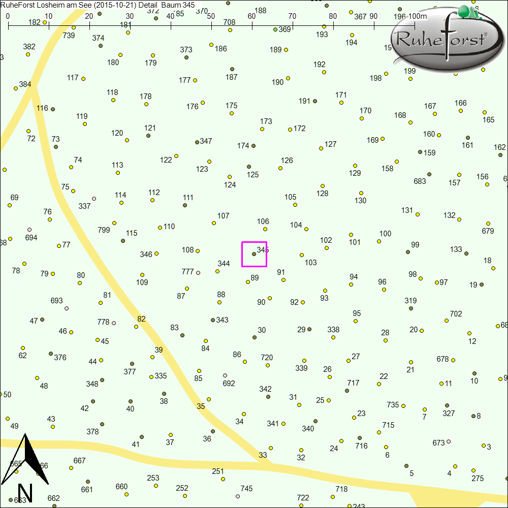 Detailkarte zu Baum 345