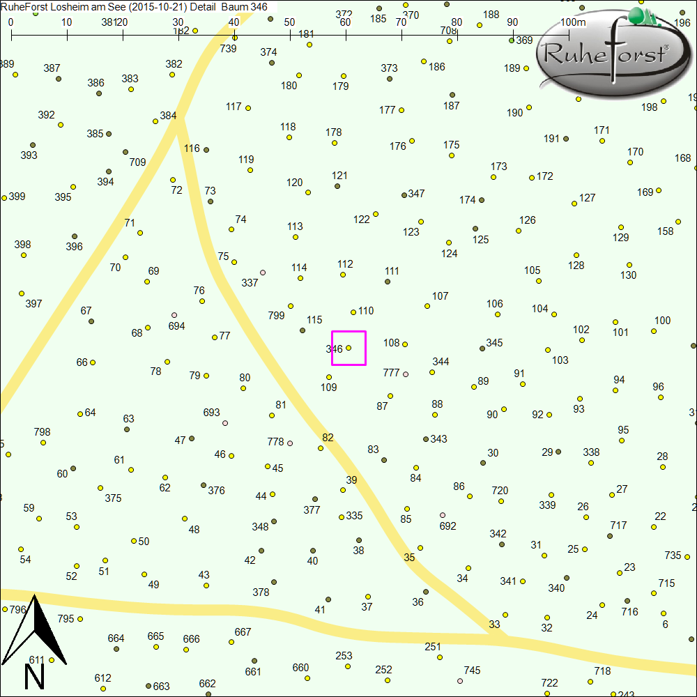 Detailkarte zu Baum 346