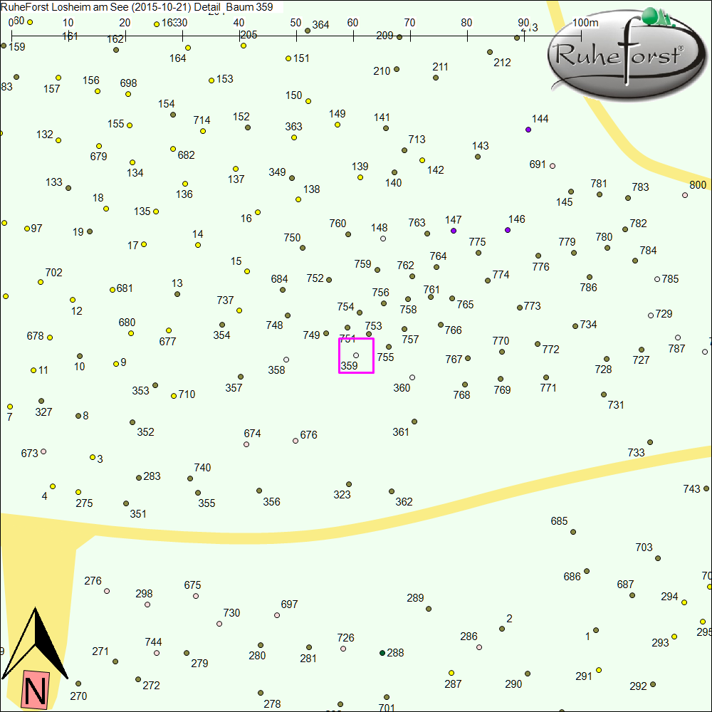 Detailkarte zu Baum 359