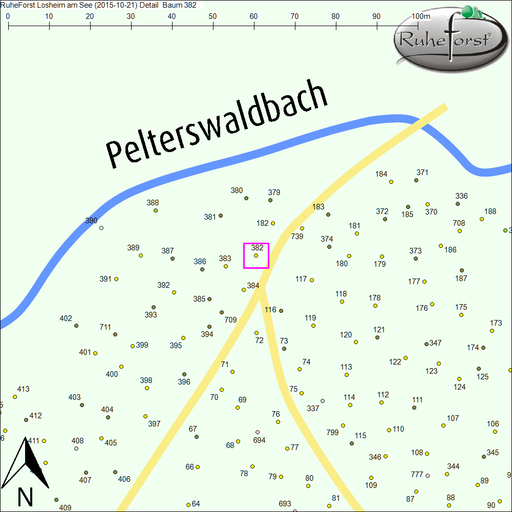 Detailkarte zu Baum 382