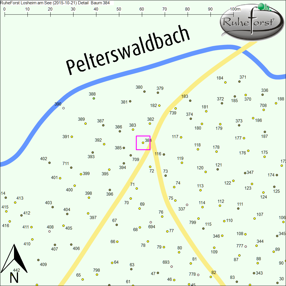 Detailkarte zu Baum 384