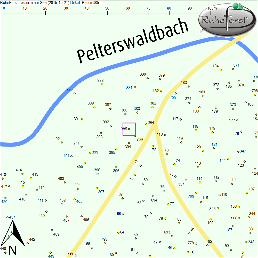 Detailkarte zu Baum 385