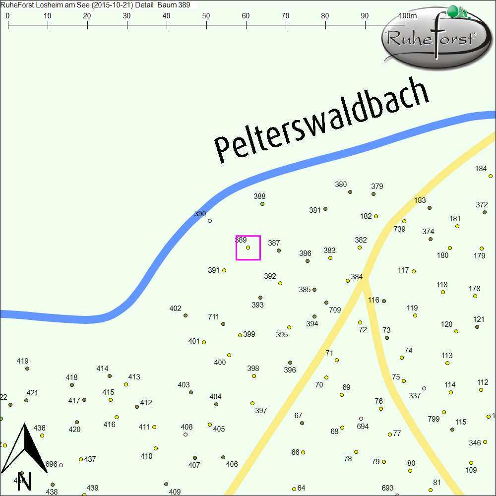 Detailkarte zu Baum 389