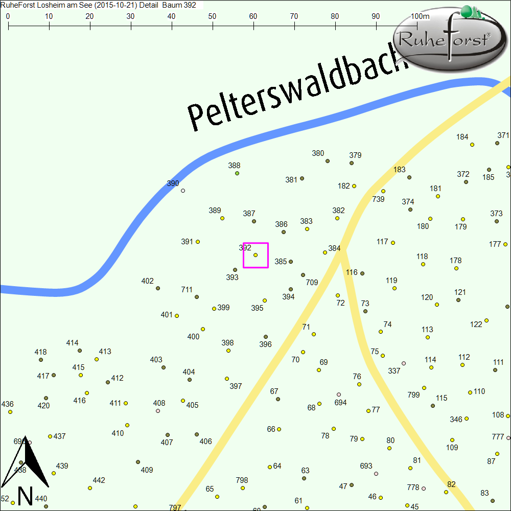 Detailkarte zu Baum 392