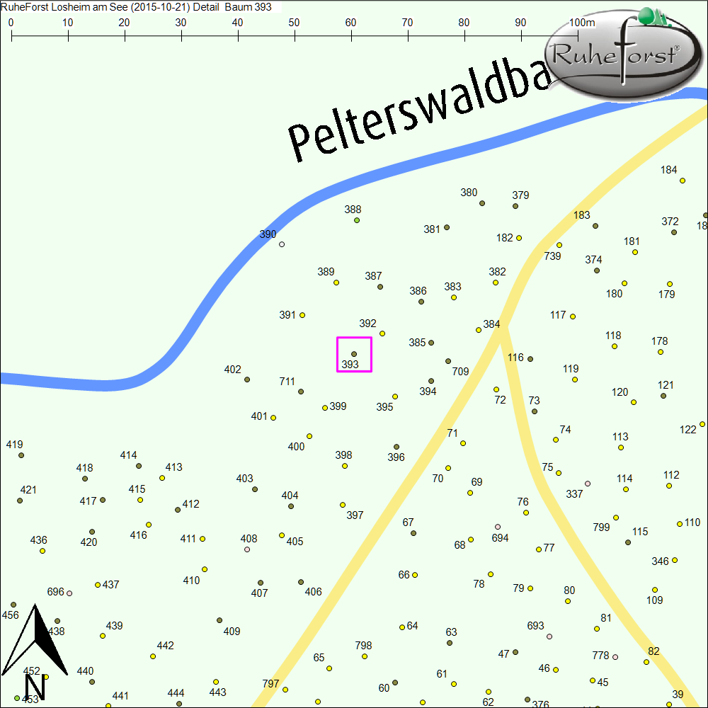 Detailkarte zu Baum 393