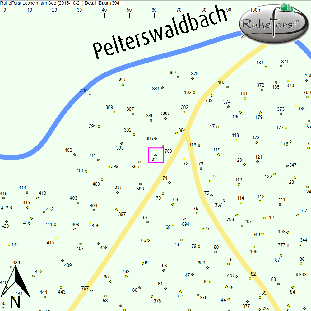 Detailkarte zu Baum 394