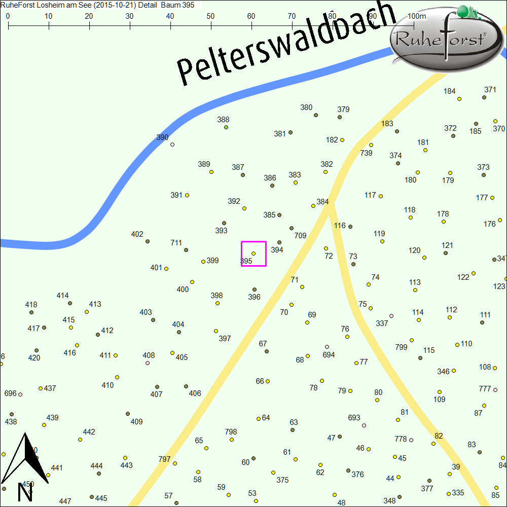 Detailkarte zu Baum 395