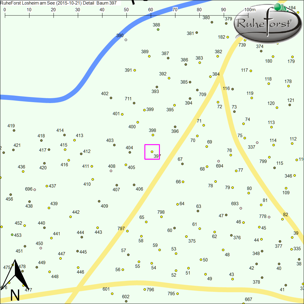 Detailkarte zu Baum 397