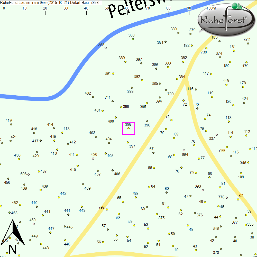 Detailkarte zu Baum 398