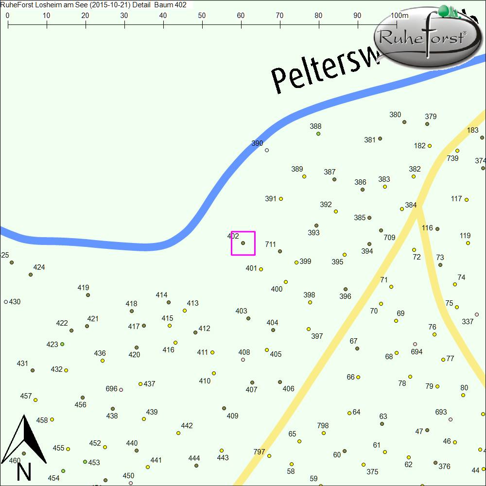Detailkarte zu Baum 402