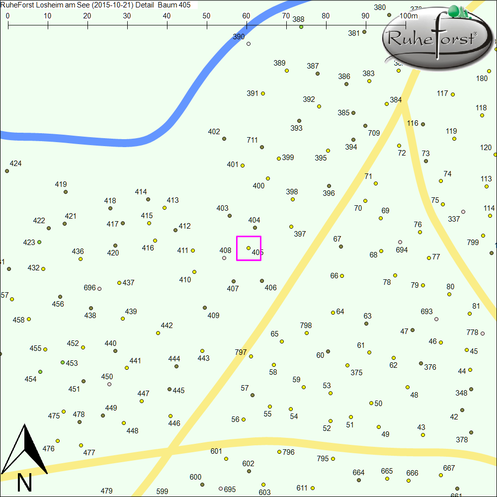 Detailkarte zu Baum 405