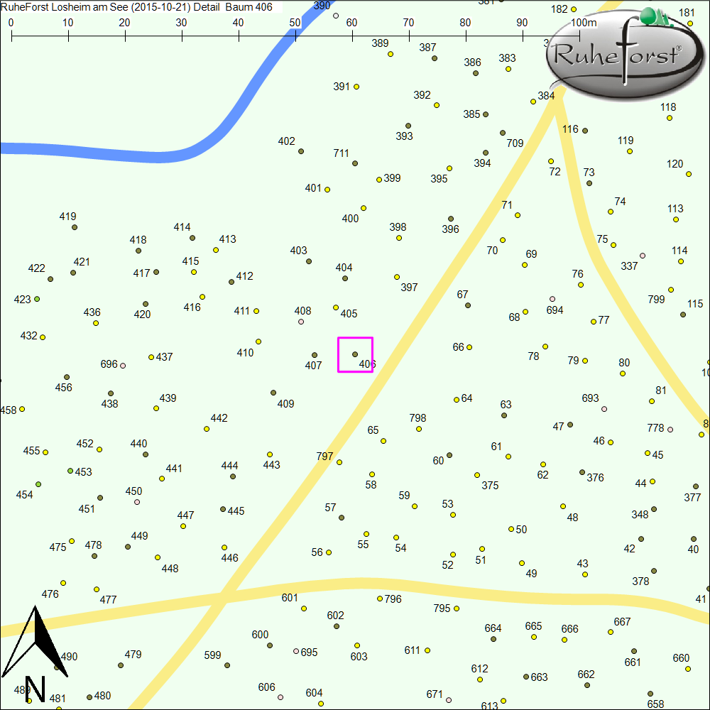 Detailkarte zu Baum 406