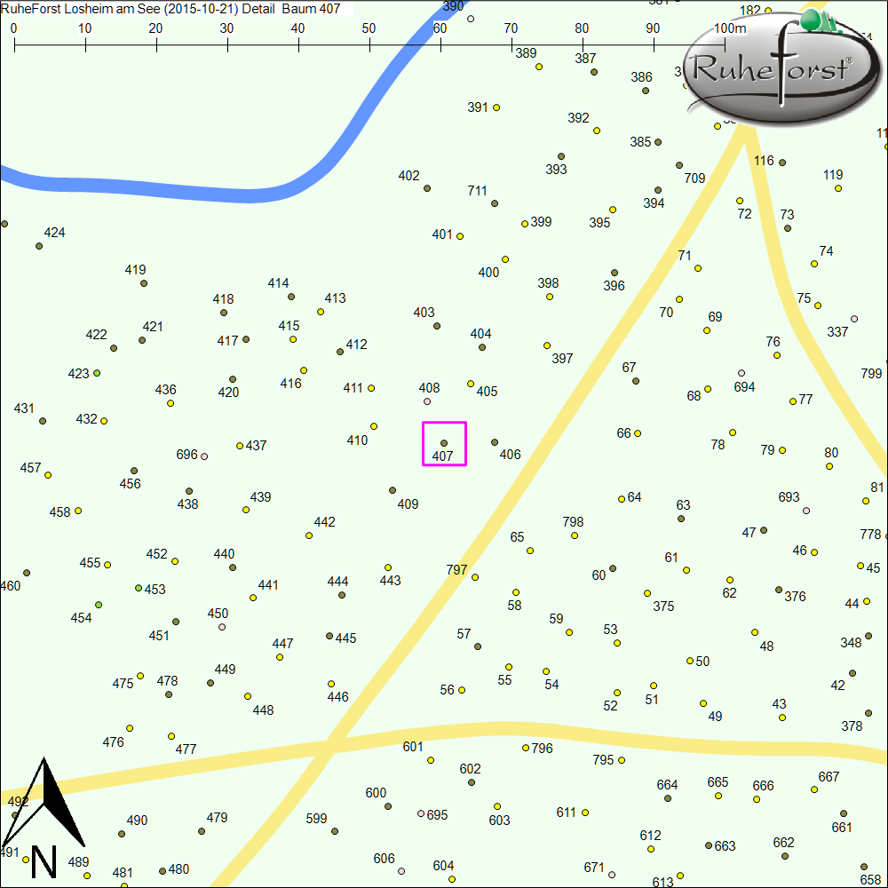 Detailkarte zu Baum 407