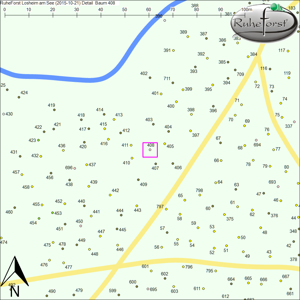 Detailkarte zu Baum 408