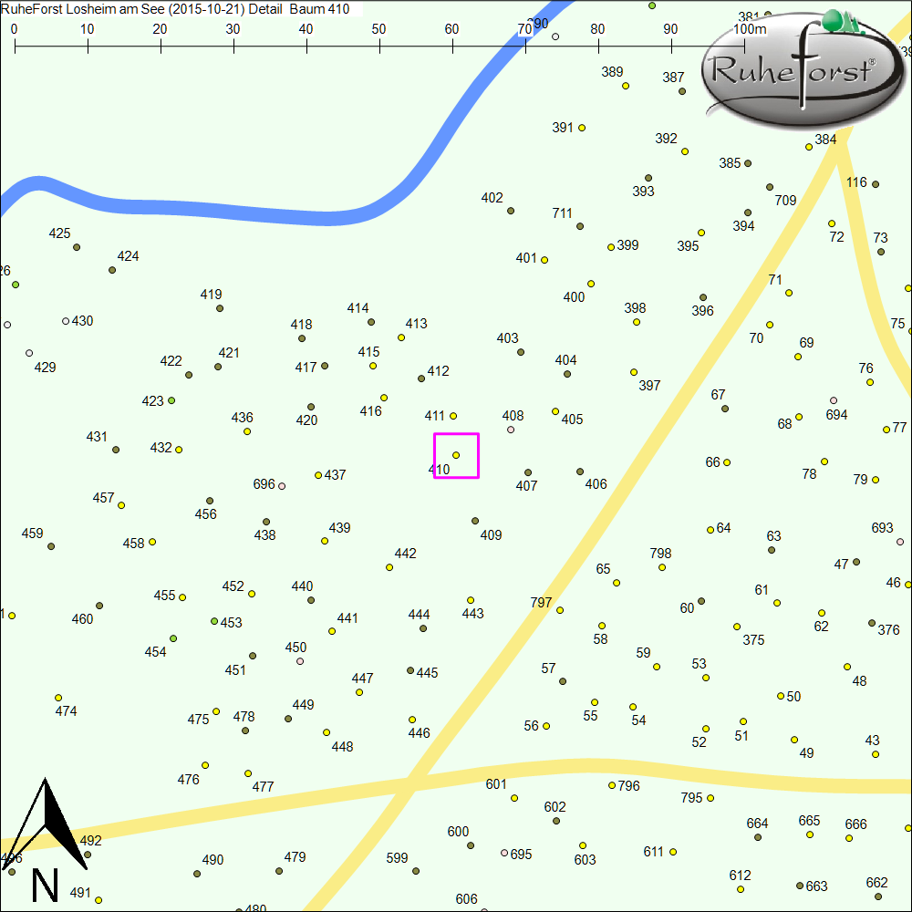 Detailkarte zu Baum 410